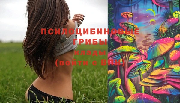 мескалин Белокуриха
