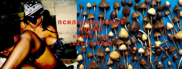 СК Богданович