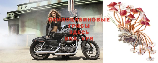 хмурый Белоозёрский