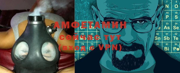шишки Богородск